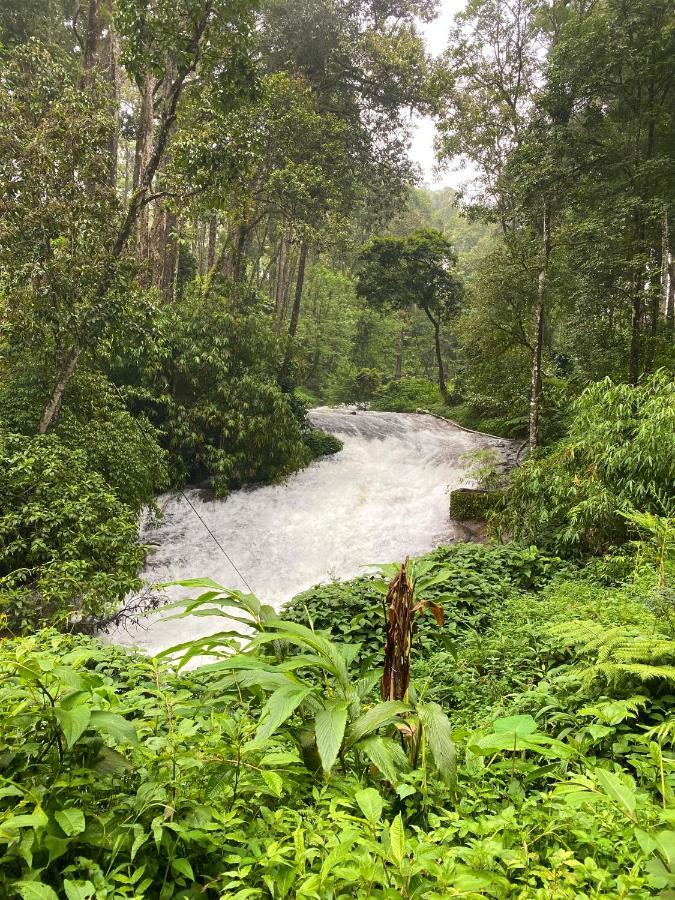 Flower Valley Plantation Homestay Munnar Extérieur photo
